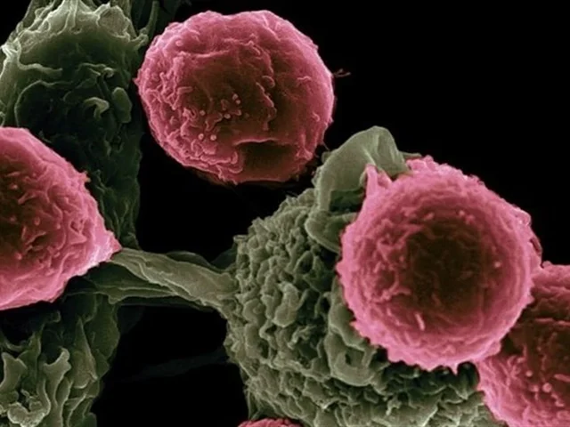 شایع‌ترین سرطان‌های زنان و مردان کدامند؟
